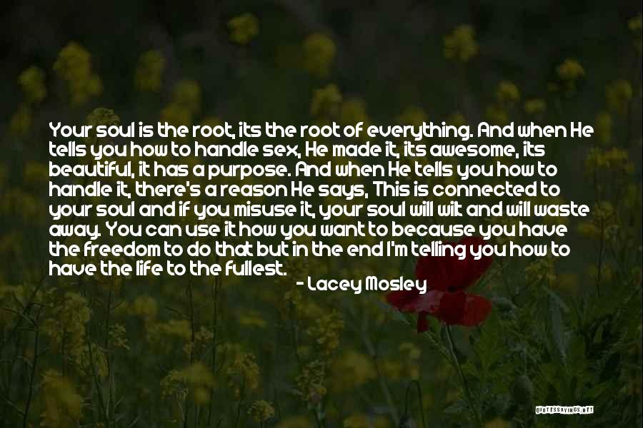 I M Awesome Quotes By Lacey Mosley I M Awesome Quotes By Lacey Mosley