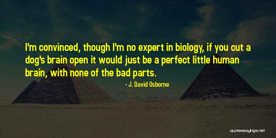I M Bad Quotes By J. David Osborne I M Bad Quotes By J. David Osborne