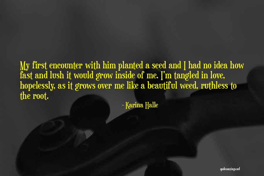 I M Beautiful Inside Quotes By Karina Halle I M Beautiful Inside Quotes By Karina Halle