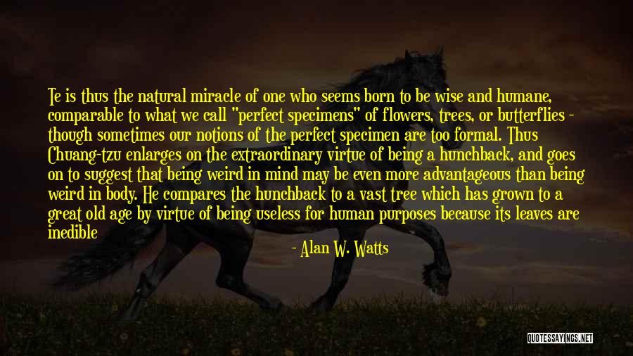 I ' M By Far Perfect Quotes By Alan W. Watts