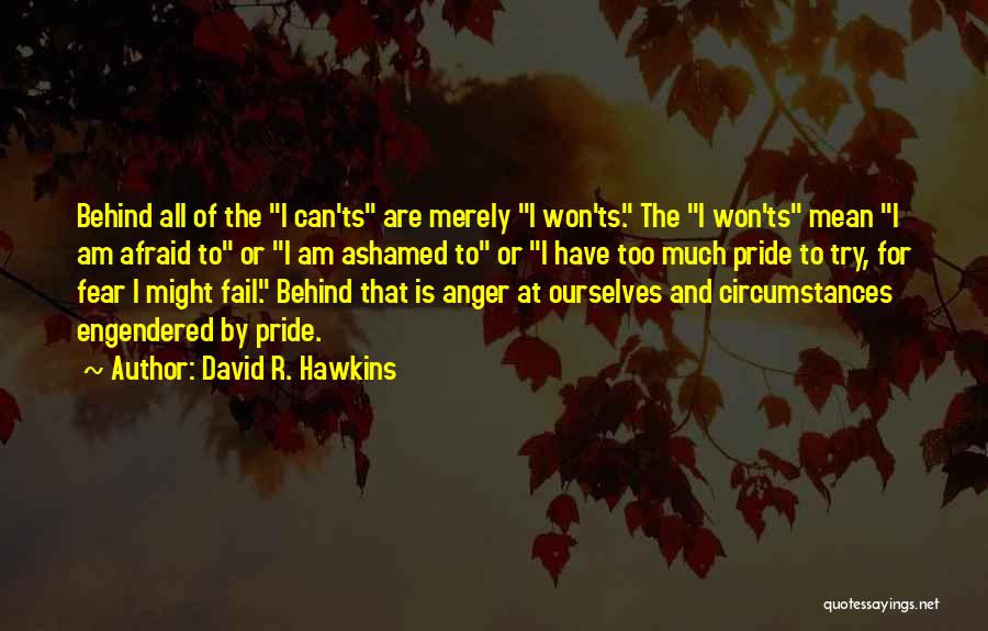 I ' M Not Afraid To Fail Quotes By David R. Hawkins