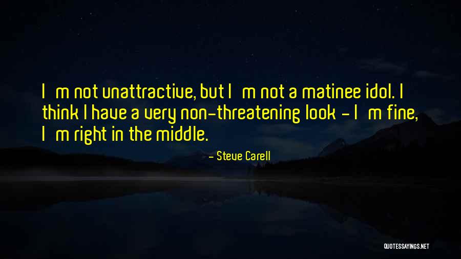 I M Not Fine Quotes By Steve Carell