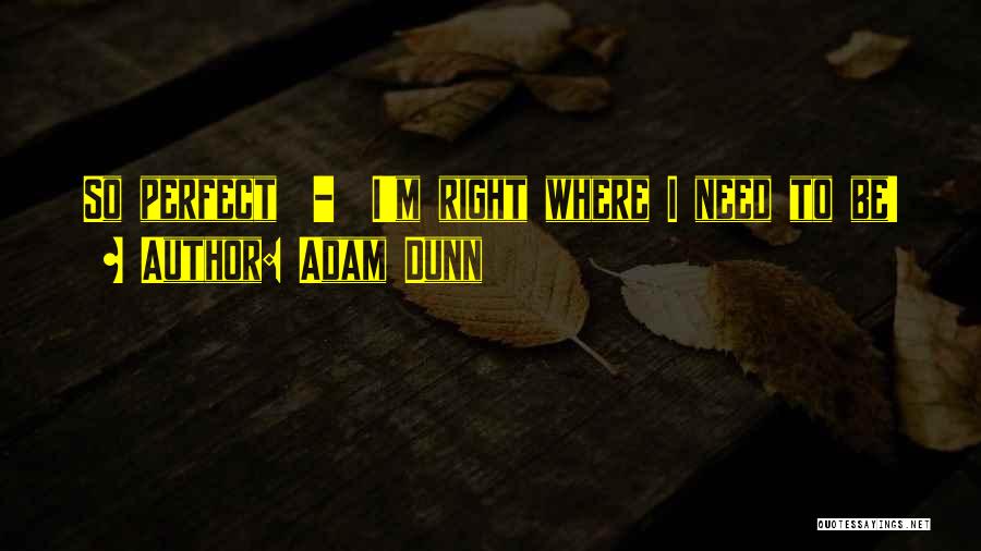 I ' M Perfect Quotes By Adam Dunn