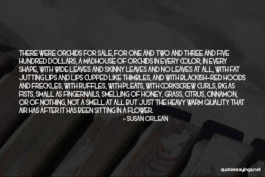 I May Be Fat Quotes By Susan Orlean
