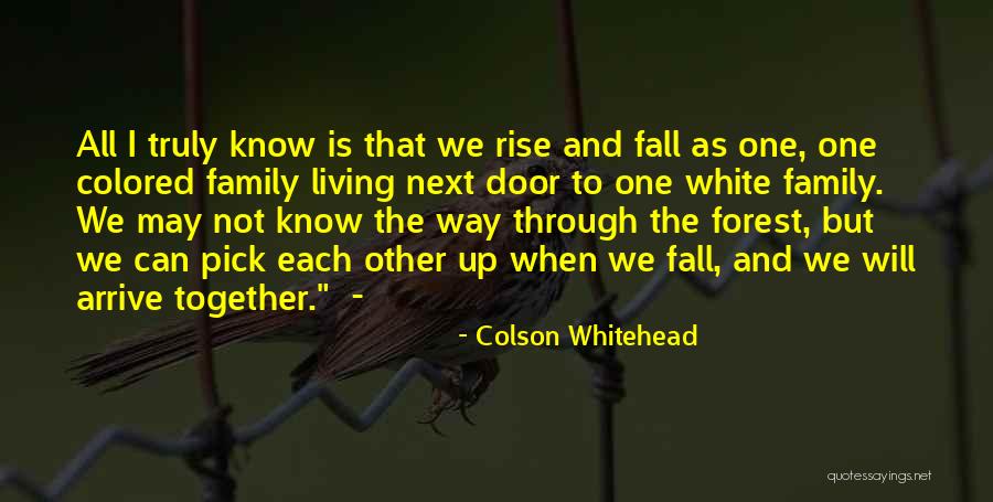 I May Fall Quotes By Colson Whitehead