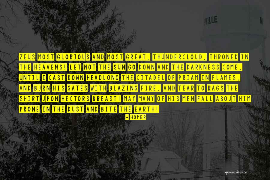 I May Fall Quotes By Homer I May Fall Quotes By Homer