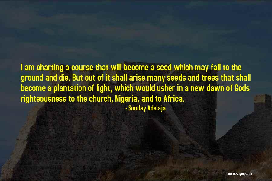 I May Fall Quotes By Sunday Adelaja