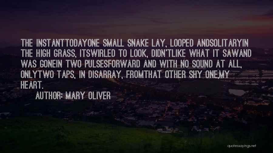 I May Look Shy Quotes By Mary Oliver