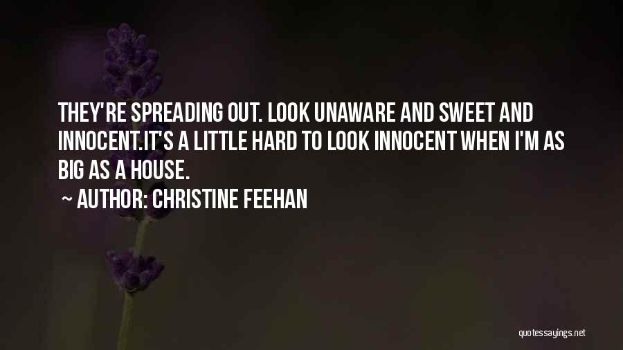 I May Look Sweet Quotes By Christine Feehan