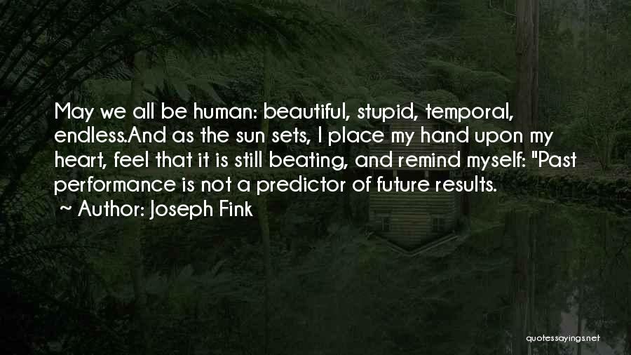 I May Not Be Beautiful Quotes By Joseph Fink