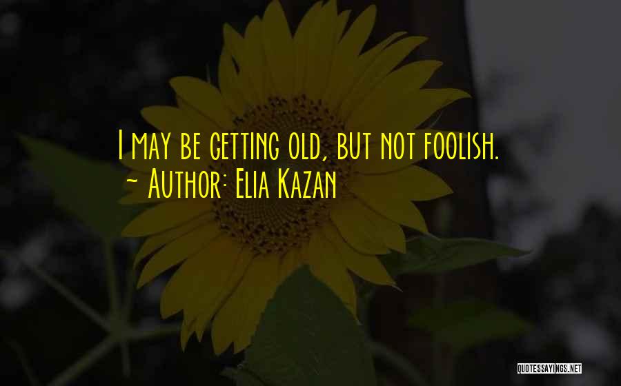 I May Not Be Quotes By Elia Kazan