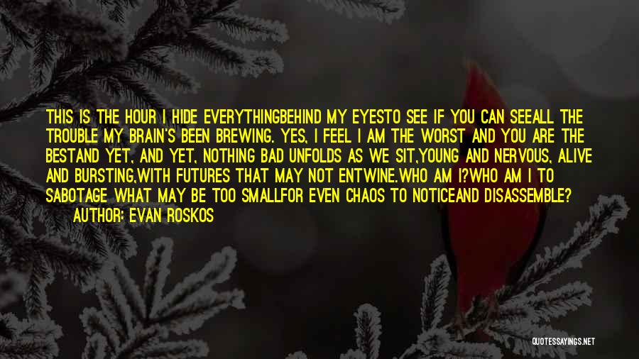 I May Not See You Quotes By Evan Roskos