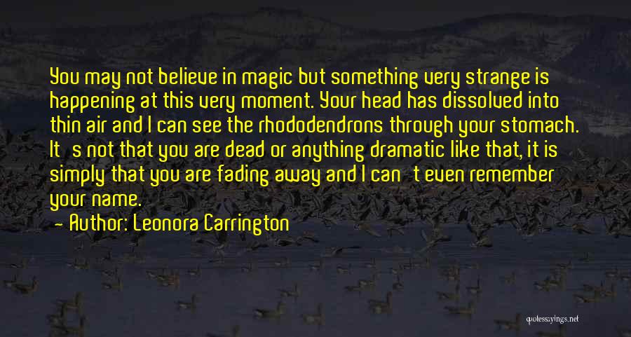 I May Not See You Quotes By Leonora Carrington