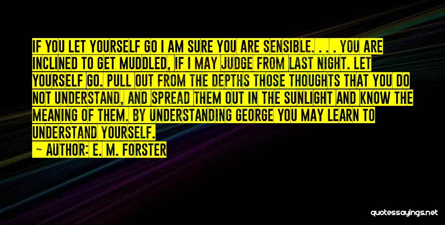 I May Not Understand Quotes By E. M. Forster