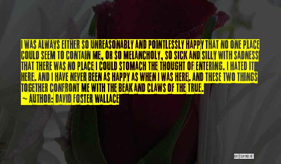 I May Seem Happy Quotes By David Foster Wallace