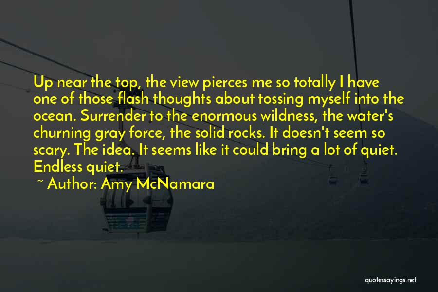 I May Seem Quiet Quotes By Amy McNamara