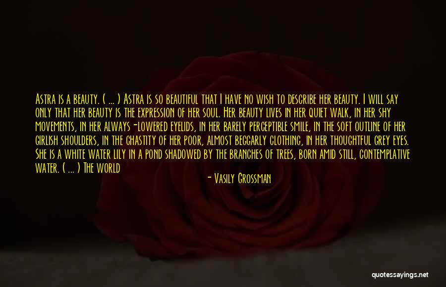 I May Smile Quotes By Vasily Grossman I May Smile Quotes By Vasily Grossman