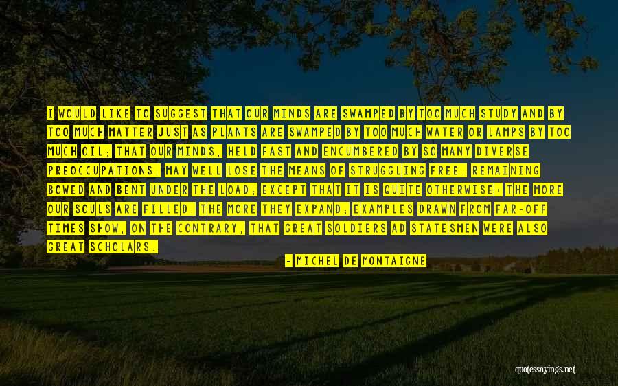 I May Struggle Quotes By Michel De Montaigne I May Struggle Quotes By Michel De Montaigne
