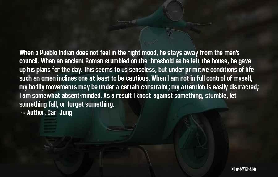 I May Stumble Quotes By Carl Jung