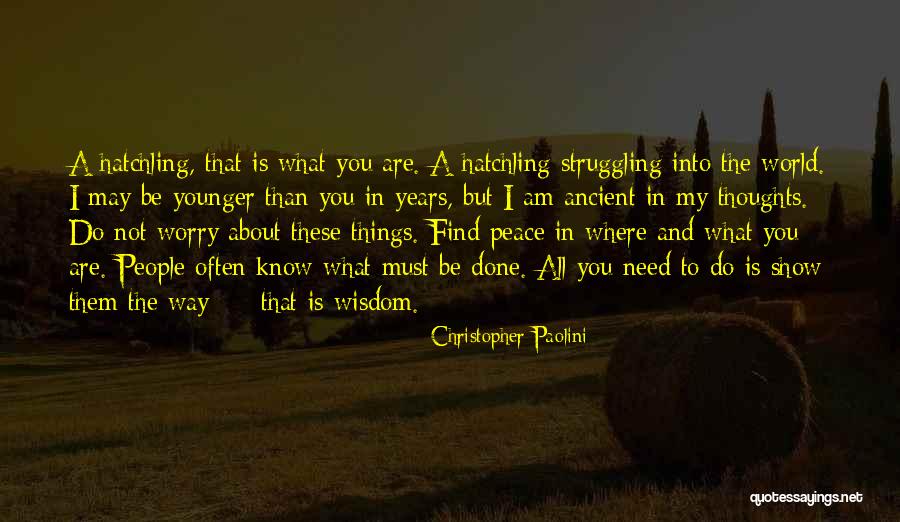 I May Worry Quotes By Christopher Paolini I May Worry Quotes By Christopher Paolini