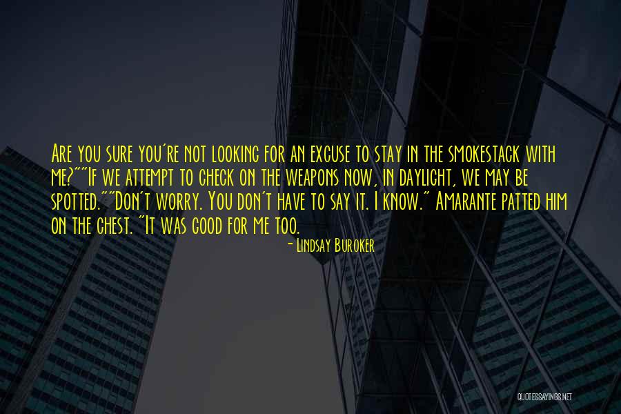 I May Worry Quotes By Lindsay Buroker I May Worry Quotes By Lindsay Buroker