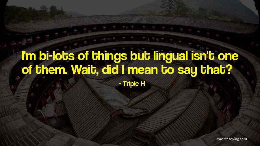 I Mean Funny Quotes By Triple H I Mean Funny Quotes By Triple H