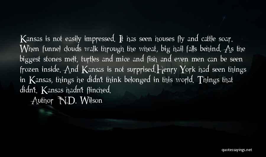 I Melt Inside Quotes By N.D. Wilson