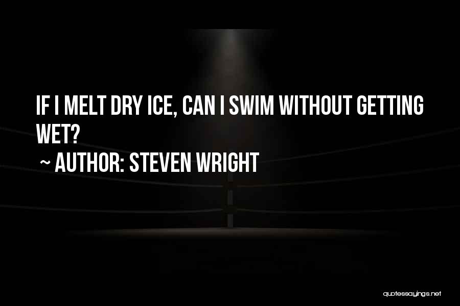 I Melt Quotes By Steven Wright