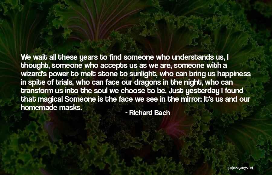 I Melt When I See You Quotes By Richard Bach