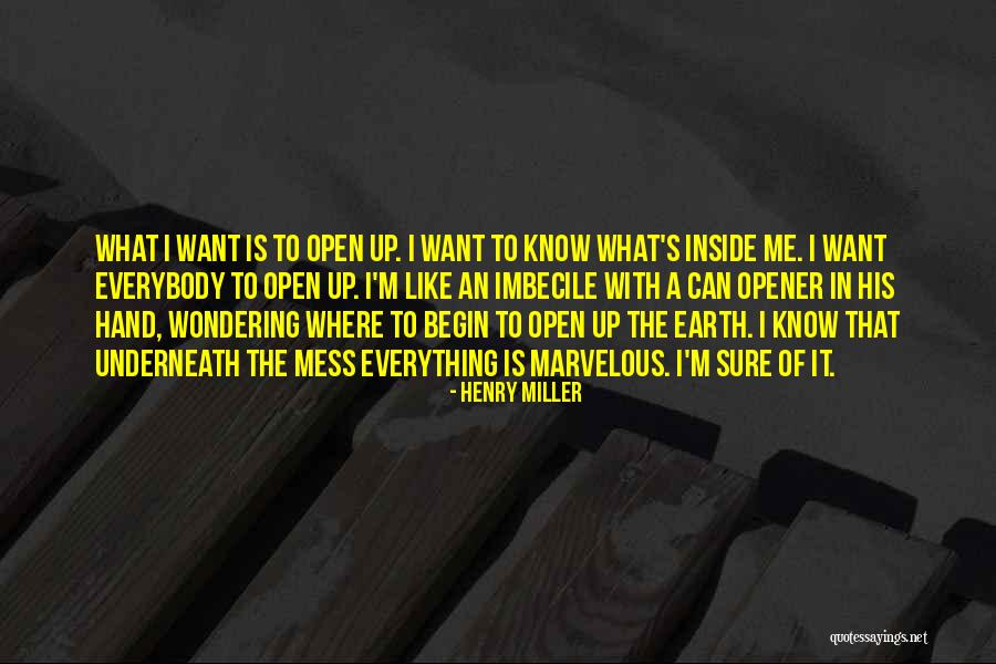 I Mess Up Everything Quotes By Henry Miller I Mess Up Everything Quotes By Henry Miller