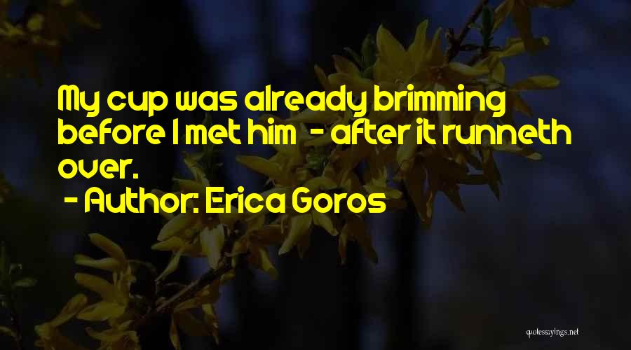 I Met My Love Quotes By Erica Goros