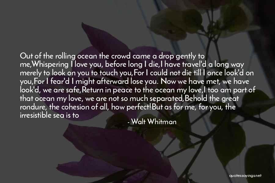 I Met My Love Quotes By Walt Whitman