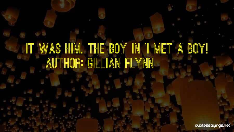 I Met This Boy Quotes By Gillian Flynn