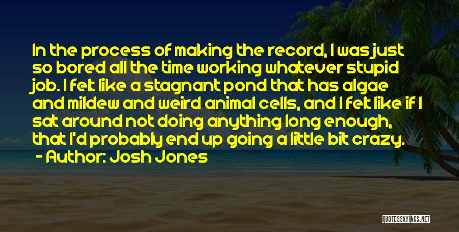 I Might Be A Little Bit Crazy Quotes By Josh Jones