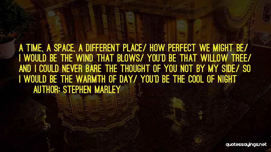 I Might Not Be Perfect Quotes By Stephen Marley