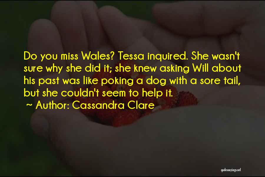 I Miss My Dog So Much Quotes By Cassandra Clare