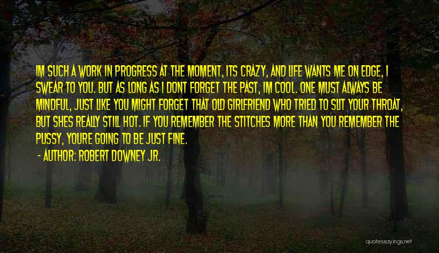 I Must Forget You Quotes By Robert Downey Jr.