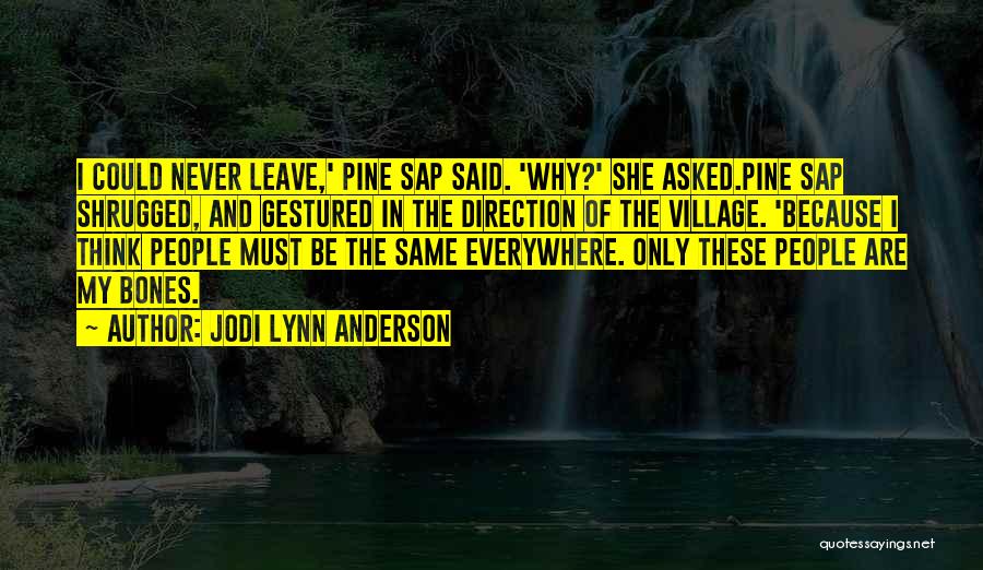 I Must Leave Quotes By Jodi Lynn Anderson