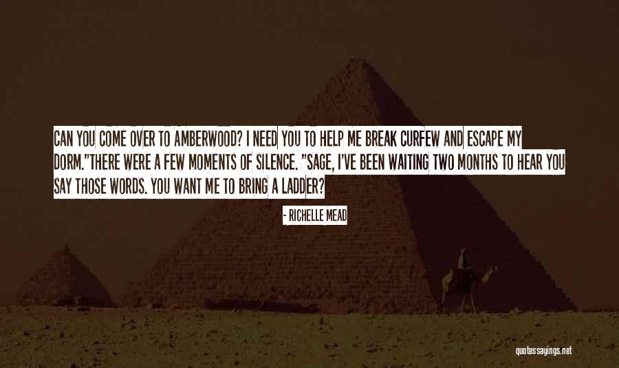 I Need A Break Quotes By Richelle Mead I Need A Break Quotes By Richelle Mead