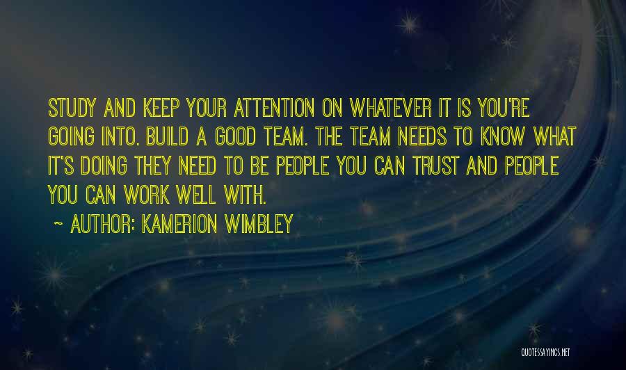 I Need Someone To Trust Quotes By Kamerion Wimbley
