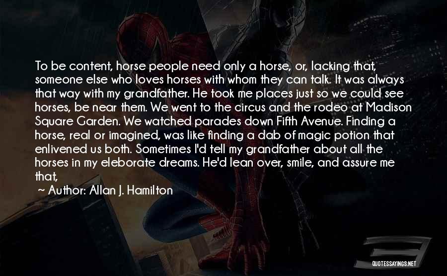 I Need Someone Who Loves Me Quotes By Allan J. Hamilton