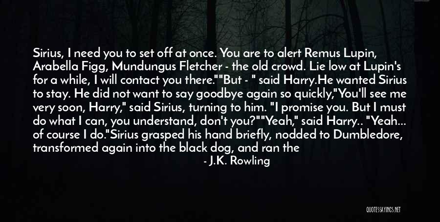 I Need To Say Goodbye Quotes By J.K. Rowling I Need To Say Goodbye Quotes By J.K. Rowling