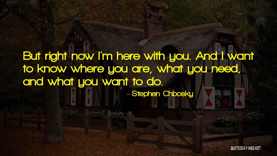 I Need You Here Now Quotes By Stephen Chbosky