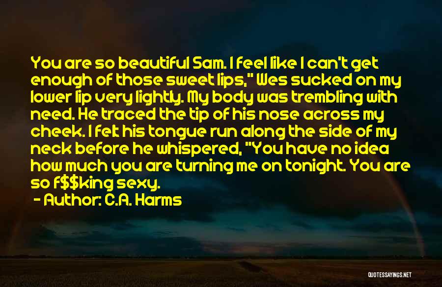 I Need You Tonight Quotes By C.A. Harms