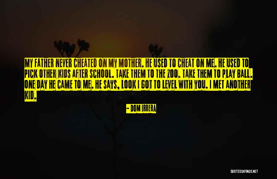 I Never Cheated On You Quotes By Dom Irrera I Never Cheated On You Quotes By Dom Irrera