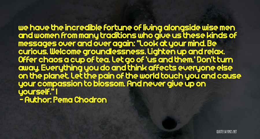 I Never Give Up On Us Quotes By Pema Chodron