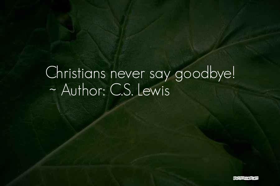 I Never Got To Say Goodbye Quotes By C.S. Lewis