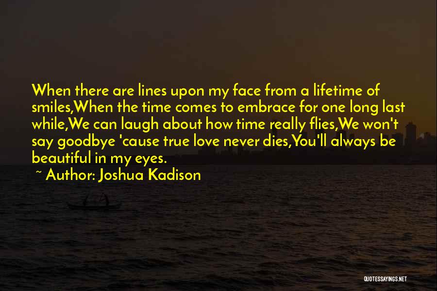I Never Got To Say Goodbye Quotes By Joshua Kadison