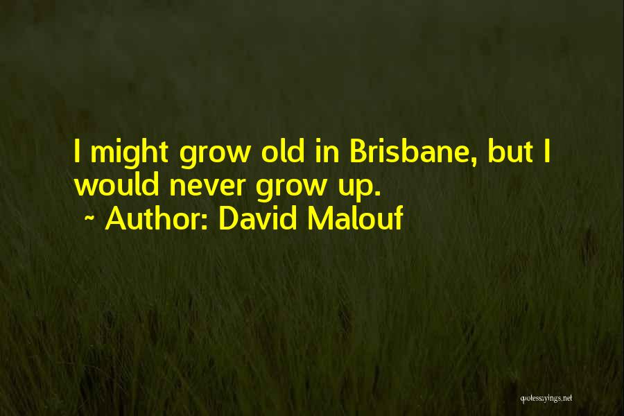 I Never Grow Up Quotes By David Malouf