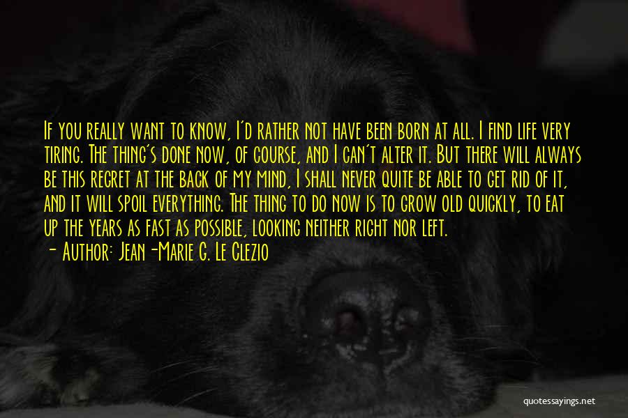 I Never Grow Up Quotes By Jean-Marie G. Le Clezio